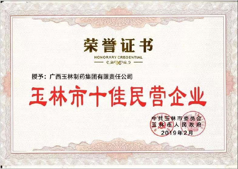康臣玉药荣获“玉林市十佳民营企业”称号